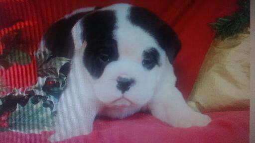 Photo from testimonial by Anonymous