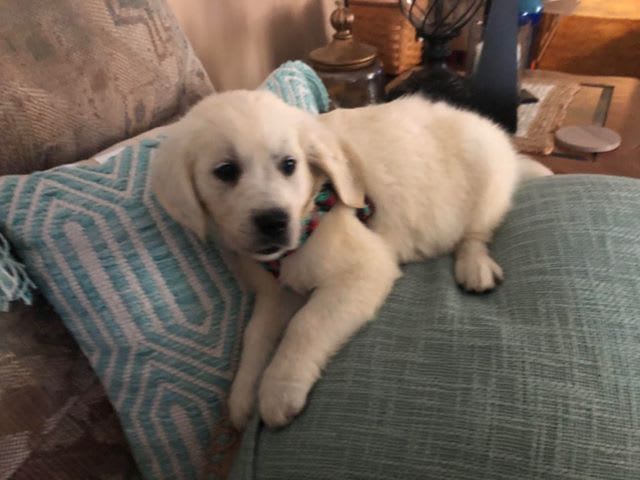 Photo from testimonial by Anonymous