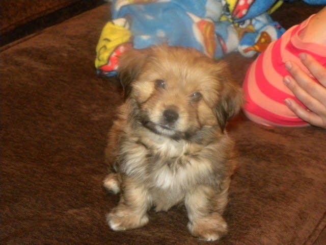 Photo from testimonial by Anonymous