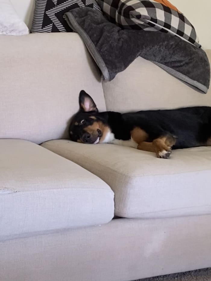 Photo from testimonial by Anonymous