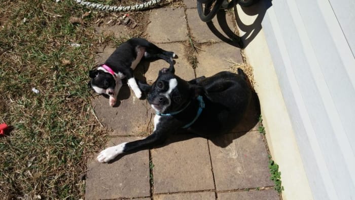 Photo from testimonial by Anonymous