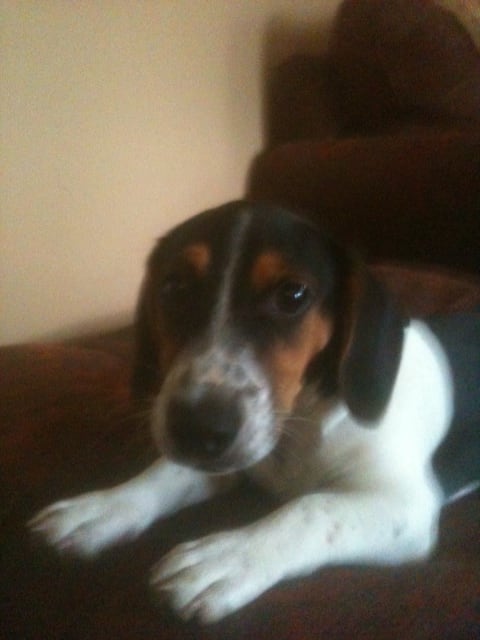 Photo from testimonial by Anonymous