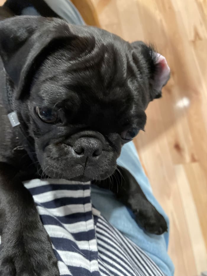 Photo from testimonial by Anonymous