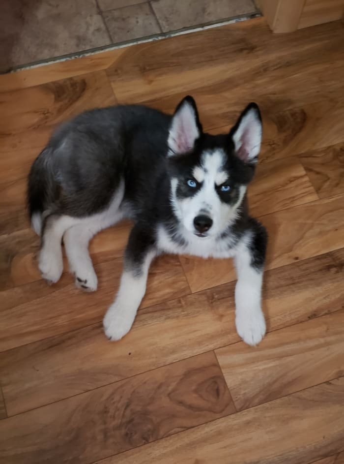 Photo from testimonial by Anonymous