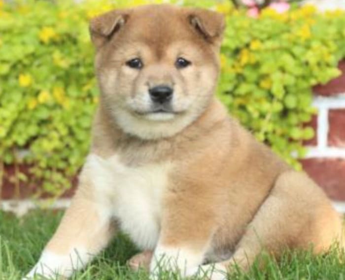 Photo from testimonial by Anonymous