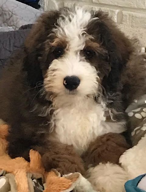 Photo from testimonial by Anonymous