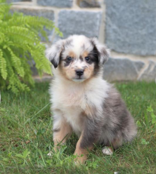 Photo from testimonial by Anonymous