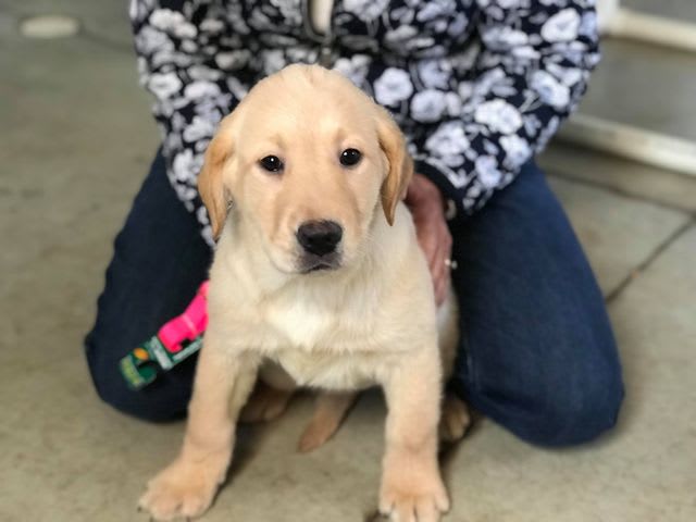 Photo from testimonial by Anonymous