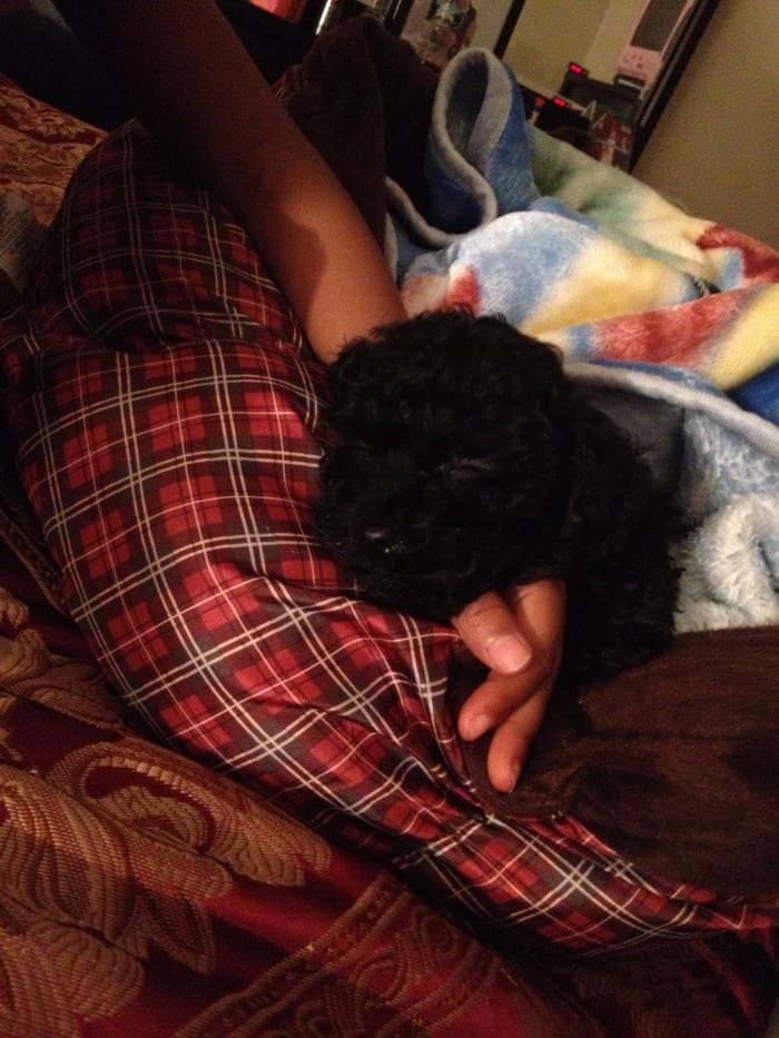 Photo from testimonial by Anonymous