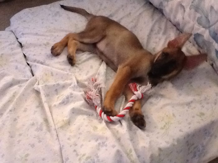 Photo from testimonial by Anonymous