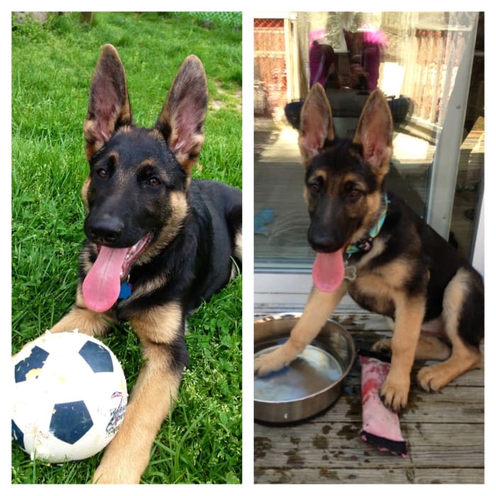 Photo from testimonial by Anonymous