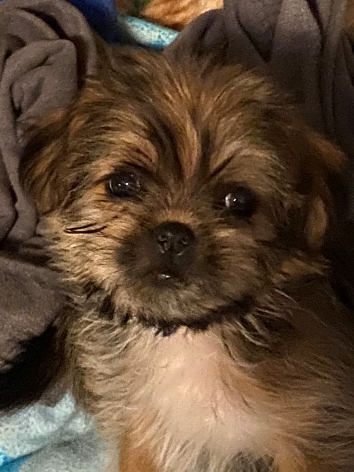 Photo from testimonial by Anonymous