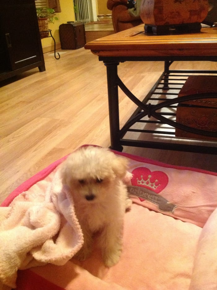 Photo from testimonial by Anonymous