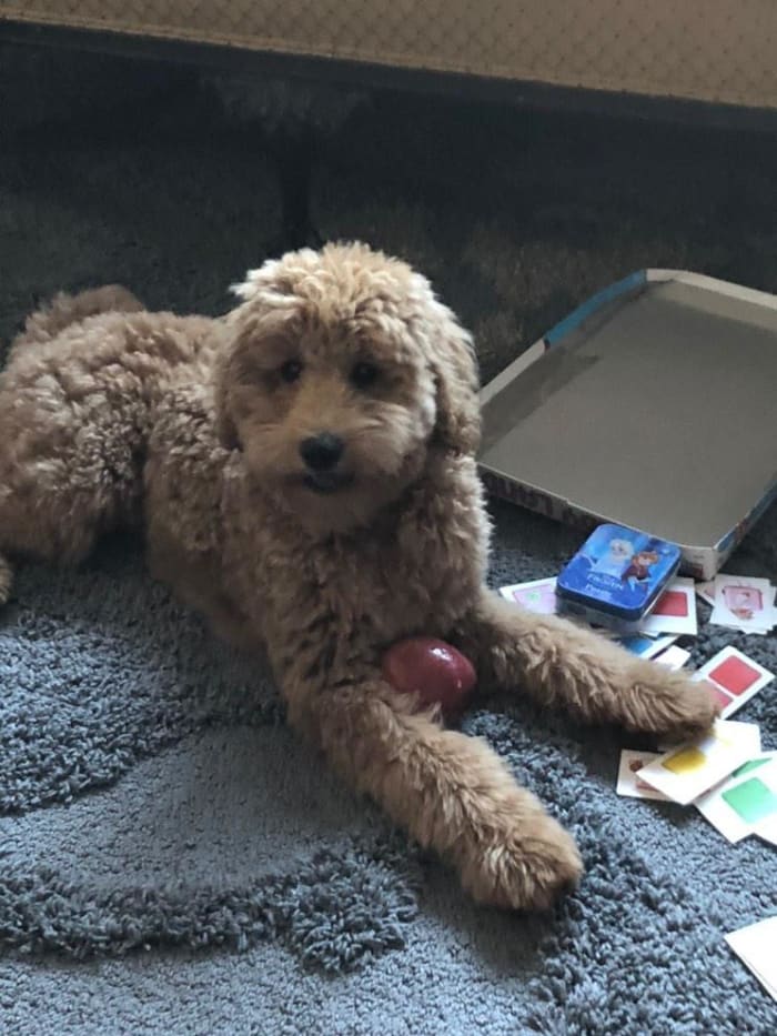 Photo from testimonial by Anonymous