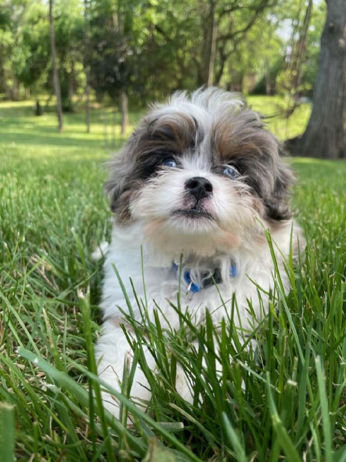 Photo from testimonial by Anonymous