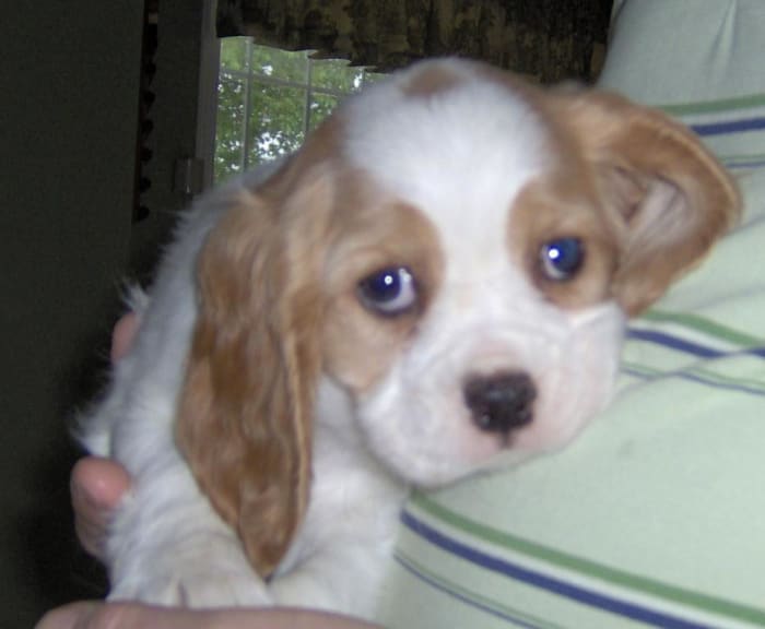 Photo from testimonial by Anonymous