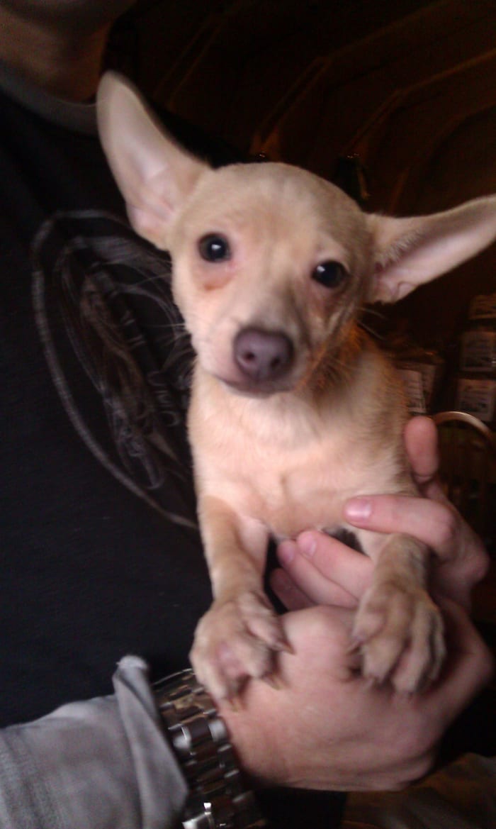 Photo from testimonial by Anonymous