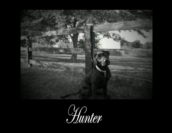 Photo from testimonial by Anonymous