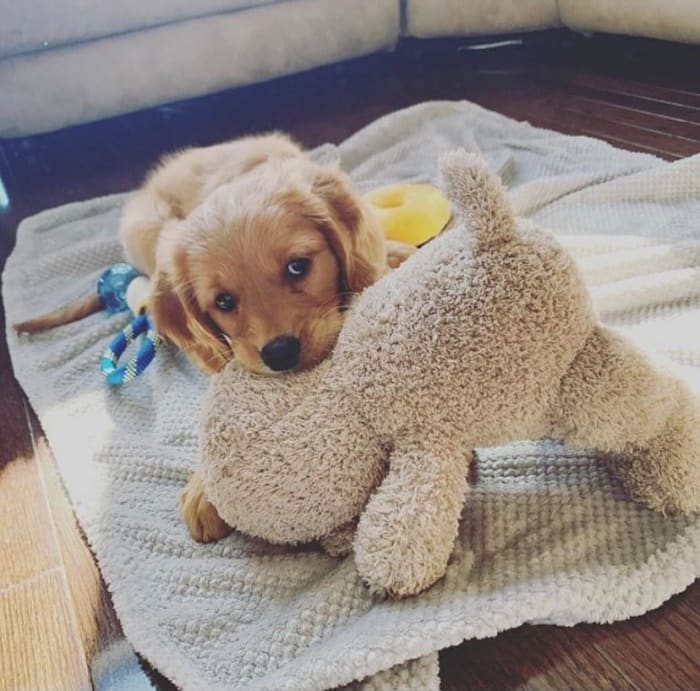 Photo from testimonial by Anonymous