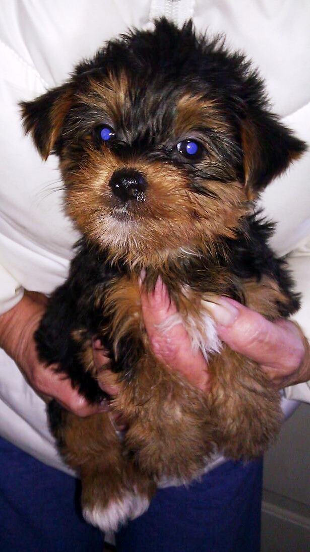 Photo from testimonial by Anonymous