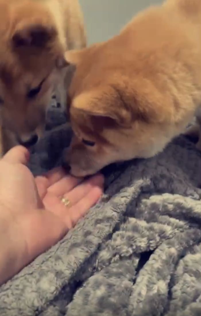 Photo from testimonial by Anonymous