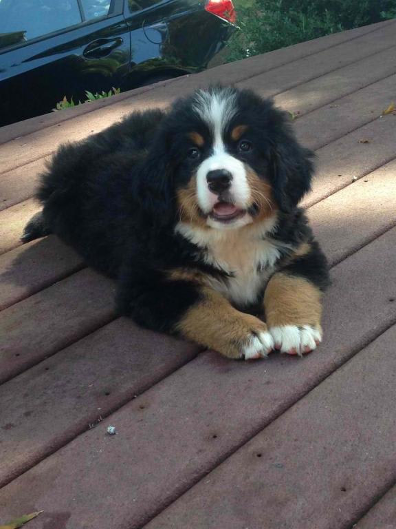 Photo from testimonial by Anonymous