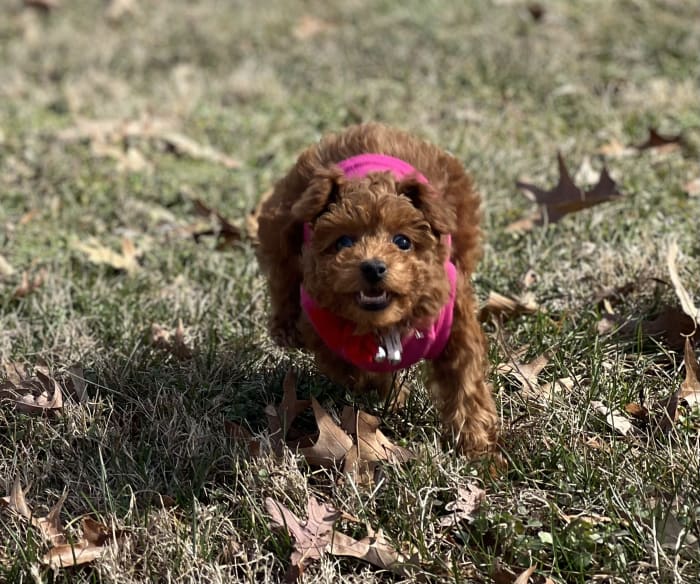 Photo from testimonial by Anonymous