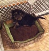 Photo from testimonial by Anonymous