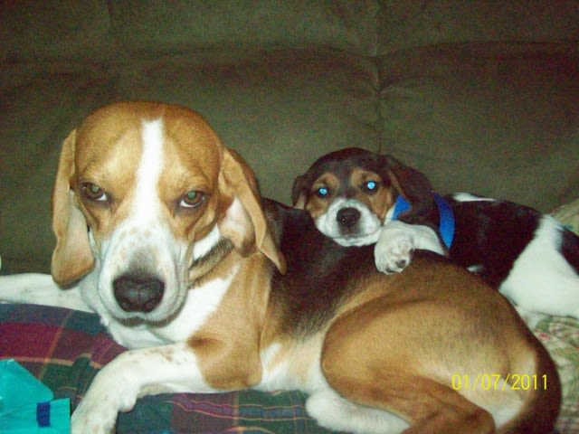 Photo from testimonial by Anonymous