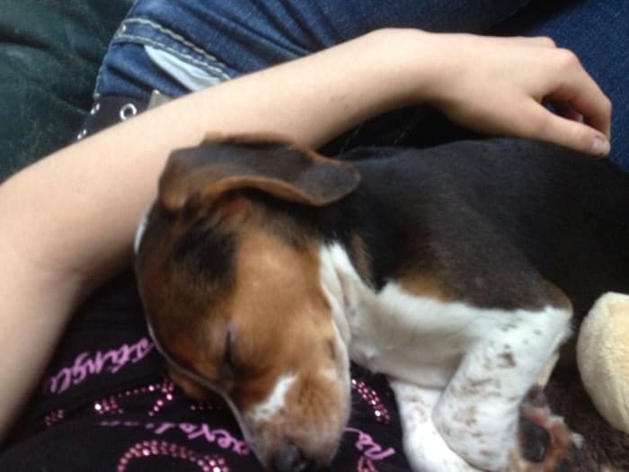 Photo from testimonial by Anonymous