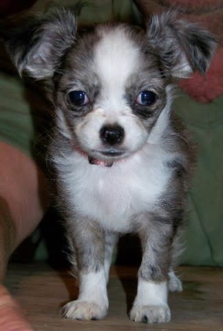 Photo from testimonial by Anonymous