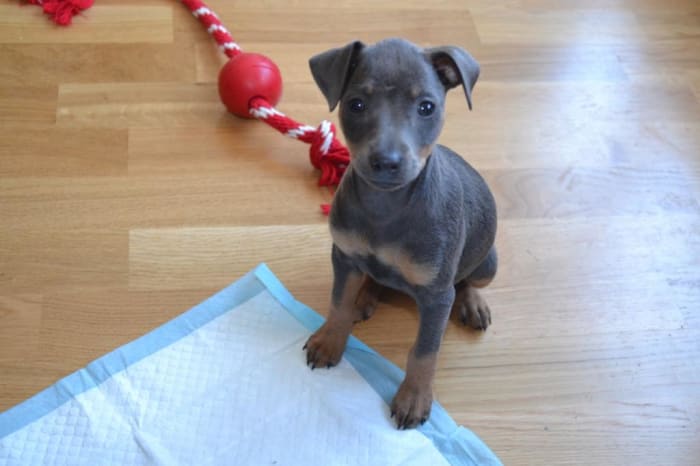 Photo from testimonial by Anonymous