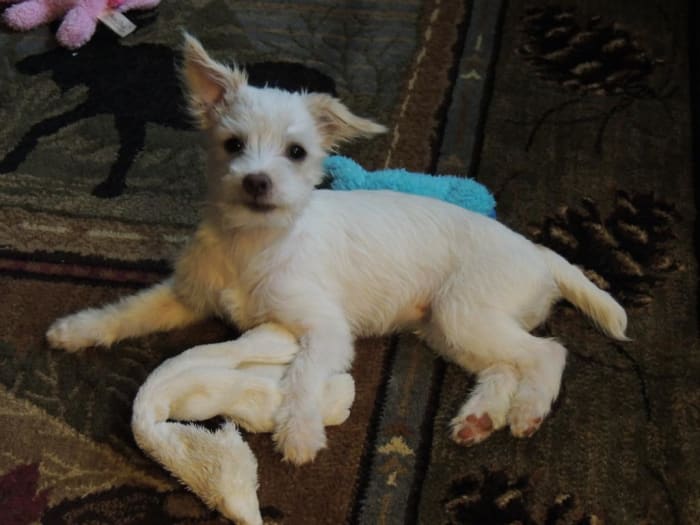 Photo from testimonial by Anonymous