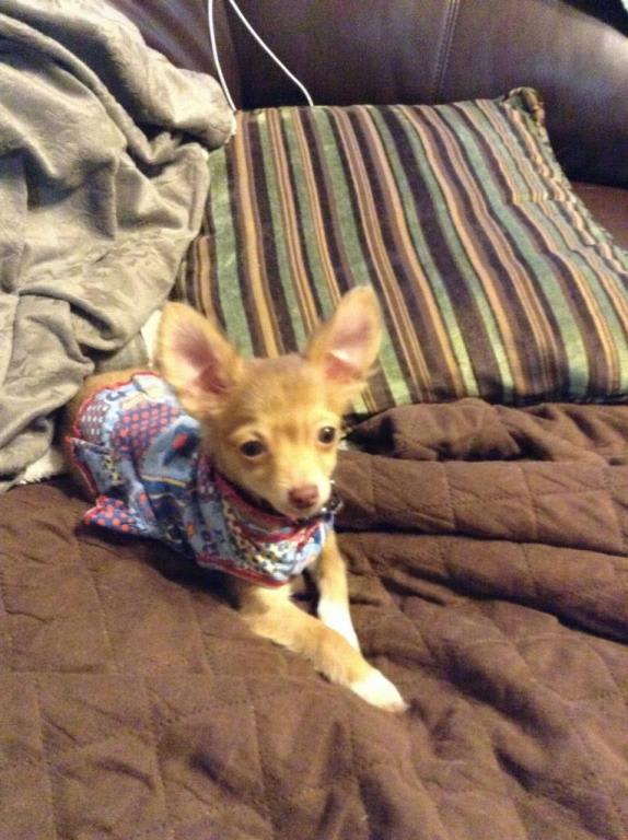 Photo from testimonial by Anonymous