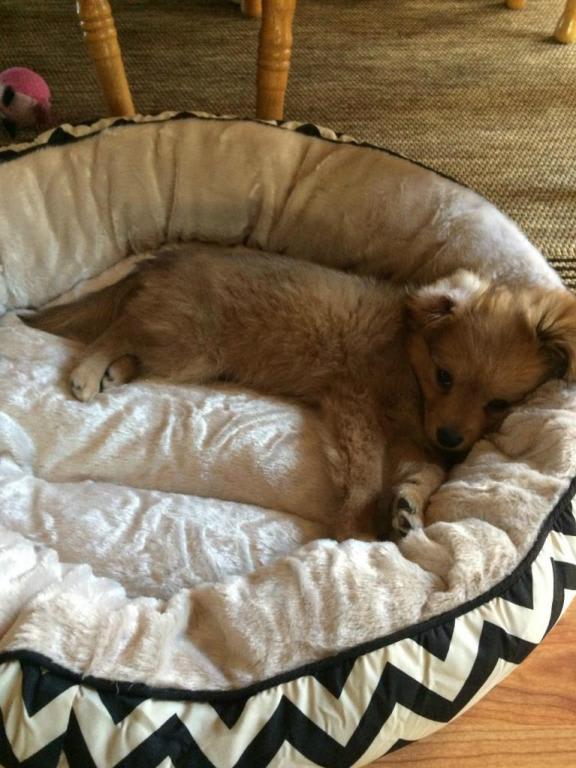 Photo from testimonial by Anonymous