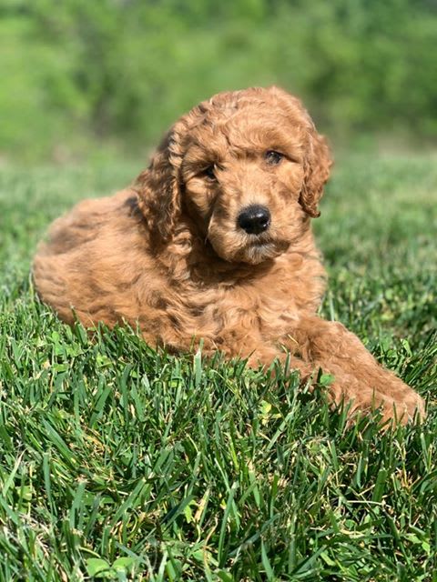 Photo from testimonial by Anonymous