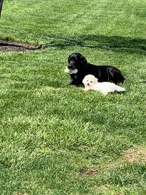 Photo from testimonial by Anonymous