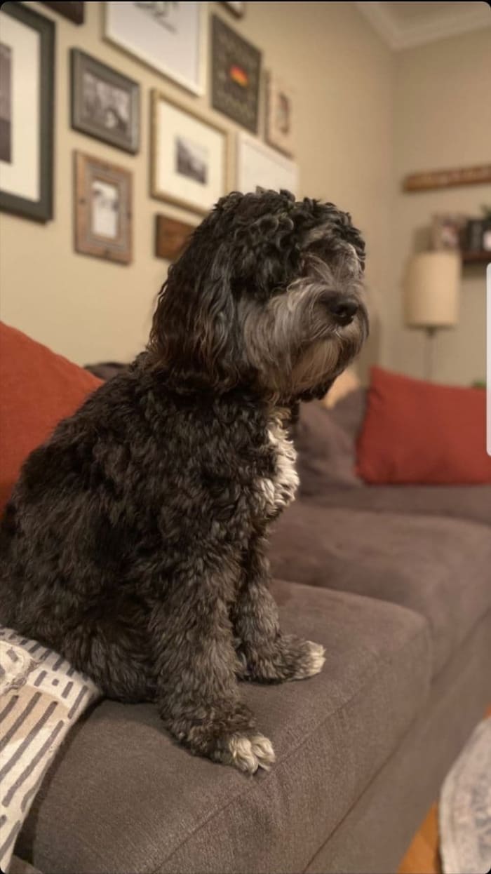 Photo from testimonial by Anonymous