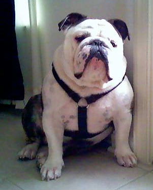 Photo from testimonial by Anonymous