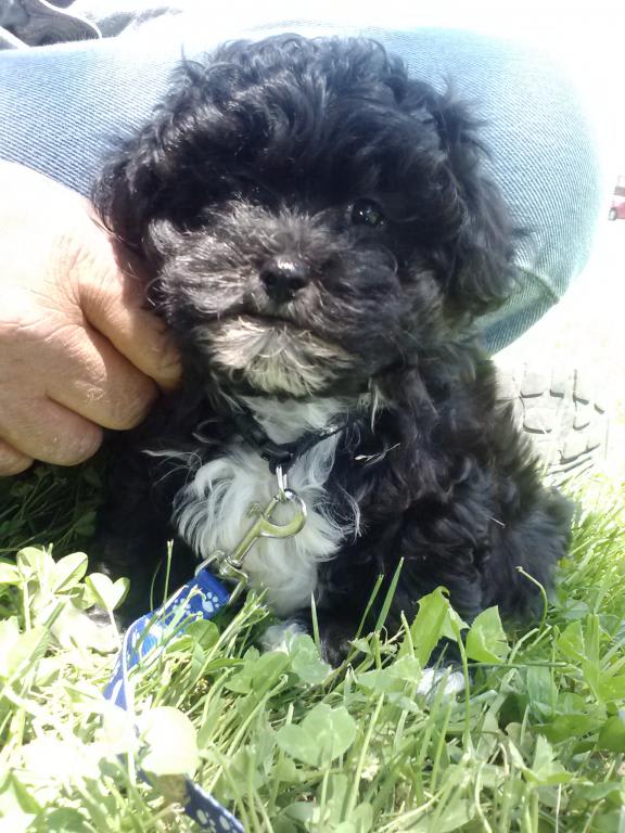 Photo from testimonial by Anonymous