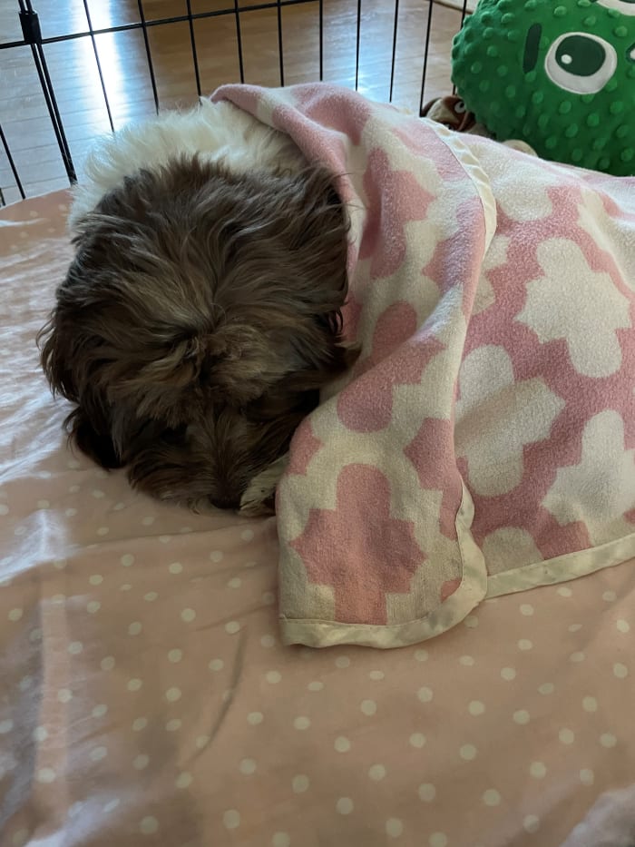 Photo from testimonial by Anonymous