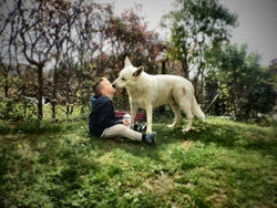 ¿Debo dejar que mi perro me lama la cara?