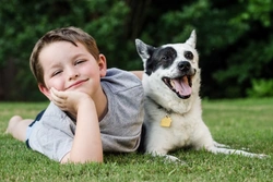 10 Essential Dog Safety Tips for Primary School Children