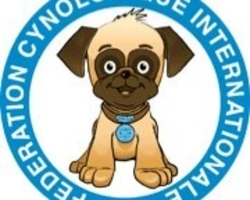 Storia e presentazione della Federazione Cinologica Internazionale