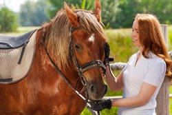 Help Your Horse Beat Flies and Sunburn This Summer