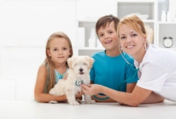 How veterinary nurse clinics can support your pet's health