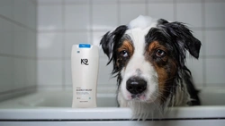 Nyhet för känsliga husdjur och deras ägare: K9 Allergy Relief