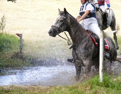 Introduction to Cross Country Horse Riding: A Comprehensive Guide