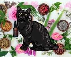 I Fiori di Bach e i gatti