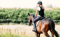 Solutions to Common Horse Riding Position Faults Guide